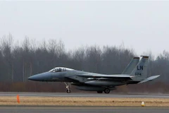 Máy bay chiến đấu F-15 của Mỹ tại căn cứ không quân ở Siauliai Zuokiniai, Litva ngày 6/3/2014. (Ảnh: AFP/TTXVN)