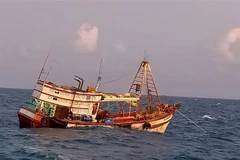 (Ảnh minh họa: Ngọc Sơn/TTXVN)