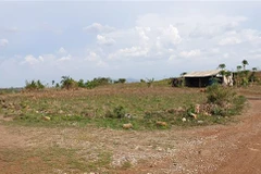 (Ảnh minh họa: Hồng Điệp/TTXVN)