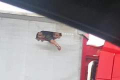 Bức ảnh chụp những người nhập cư xé rách bạt xe tải. (Nguồn: Mirrorpix)