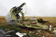 Xác máy bay MH17 của Hãng hàng không Malaysia Airlines bị bắn rơi gần làng Grabove, cách Donetsk, miền Đông Ukraine khoảng 80km, tháng 9/2014. (Ảnh: AFP/TTXVN)