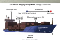 Toàn cảnh vụ chìm tàu chở gần 300 container trên sông Lòng Tàu
