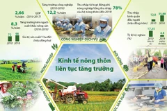 [Infographics] Kinh tế nông thôn liên tục tăng trưởng