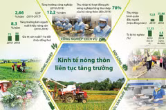 [Infographics] Kinh tế nông thôn liên tục tăng trưởng