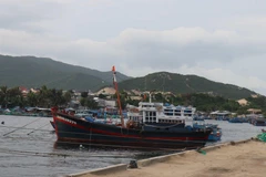 Tàu thuyền đánh bắt thủy sản của ngư dân Khánh Hòa neo đậu ở cảng để tránh trú. (Ảnh: Nguyễn Dũng/TTXVN)