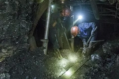 Ảnh chỉ có tính minh họa. (Ảnh: Trọng Đạt/TTXVN)