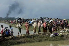 Người tị nạn Rohingya tại khu vực Ukhia, trên biên giới Bangladesh-Myanmar sau khi rời bỏ nhà cửa tránh xung đột ở Rakhine. (Nguồn: AFP/TTXVN)