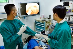 Ảnh chỉ có tính minh họa. (Ảnh: Dương Ngọc/TTXVN)