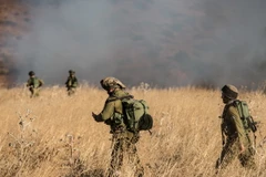 Binh sỹ Israel tuần tra tại cao nguyên Golan ngày 20/8. (Nguồn: THX/TTXVN) 