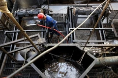 Ảnh minh họa. (Nguồn: ibtimes.co.in)