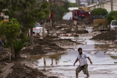 Chile cần 1,5 tỷ USD để khắc phục hậu quả mưa lũ ở miền Bắc 