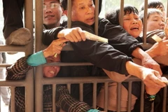 [Photo] Hàng nghìn cổ động viên chen lấn mua vé xem V-league 2015