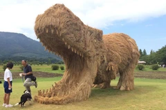 Những con vật được làm từ rơm với tư thế giống như thật đã được trưng bày ở Niigata trong Lễ hội Wara Nhật Bản. 