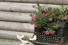 Lạc vào khu vườn cổ tích từ những phế phẩm gia đình.