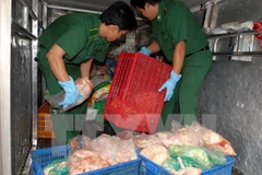 Ảnh minh họa. (Ảnh: Mạnh Linh/TTXVN)