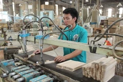 Ảnh minh họa. (Ảnh: Thanh Vũ/TTXVN)