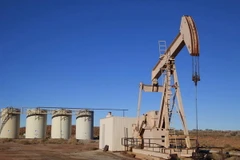 Ảnh minh họa. (Nguồn: dynamicco.com)