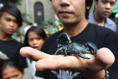 Rùng mình với những "thú cưng" lạ đời nhất trên thế giới