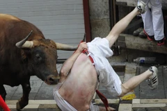 Jose Aldaba, người phát ngôn của lễ hội cho biết đã có bảy người được đưa tới bệnh viện để cấp cứu, trong đó có một người bị húc vào nách. (Nguồn: AFP)