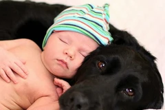 Đôi mắt. (Nguồn: Diply.com)