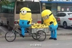 Hai Minion bị cảnh sát phạt vì "bán chuối dạo."