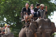 [Photo] Thú vị cưỡi voi khám phá hồ Lắk hoang sơ giữa Tây Nguyên