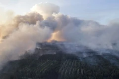 Ukraine khoanh vùng cháy rừng gần nhà máy điện hạt nhân Chernobyl