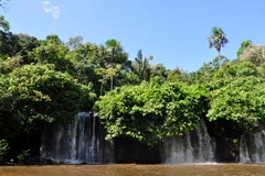 Ảnh minh họa. (Nguồn: msutoday.msu.edu)