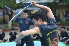 Triệt quyền đạo: Kết hợp võ Việt Nam và tinh thần Lý Tiểu Long