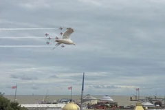 Chú hải âu được phi đội Red Arrows hộ tống. (Nguồn: mirror.co.uk)