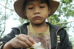 [Photo] Nguy cơ tiềm ẩn cho sức khỏe trẻ nhỏ từ thuốc bảo vệ thực vật