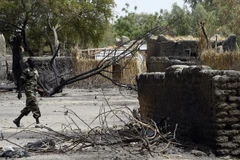 Nhà cửa bị thiêu rụi tại N'Gouboua, gần Hồ Chad sau vụ tấn công của Boko Haram ngày 12/2. (Nguồn: AFP/TTXVN)