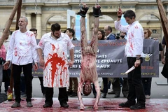 Một người đàn ông bị treo ngược để đòi quyền tự do cho động vật. (Nguồn: Dailymail)