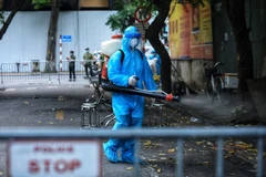 Ảnh minh họa. (Nguồn: Thành Đạt/TTXVN)