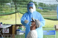 Lấy mẫu xét nghiệm COVID-19. (Nguồn: TTXVN) 