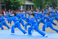 Màn biểu diễn Vovinam của học sinh Trường Tiểu học FPT (Ảnh: FPT)