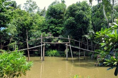 Khung cảnh lãng mãn, xanh tươi trong khu vườn nhà ông Trần Văn Liền. (Ảnh: Khánh Hưng)