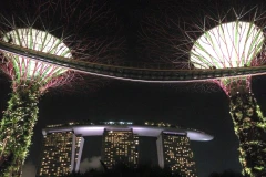 "Gardens by the bay in night" ở Singapore. (Ảnh: Xuân Mai/Vietnam+)