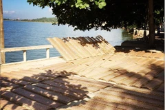 Làng bánh tráng Tân An nằm bình yên bên dòng Giang lịch sử. (Ảnh: Xuân Mai/Vietnam+) ​