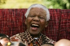 Ảnh đồ họa về gia đình của ông Nelson Mandela