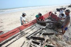 Ảnh minh họa. (Nguồn: TTXVN)