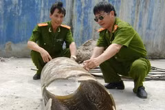 Tháo dỡ toàn bộ hệ thống xả thải của Tung Kuang. (Ảnh: Tiến Duẩn/TTXVN)