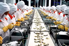 WTO ra phán quyết về vụ kiện tôm của Việt Nam 
