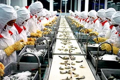 WTO ra phán quyết về vụ kiện tôm của Việt Nam 