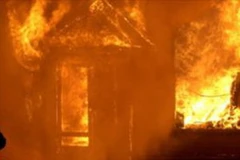 (Ảnh chỉ có tính minh họa)