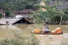 (Ảnh minh họa. Thanh Tùng/TTXVN)