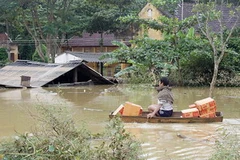 (Ảnh minh họa. Thanh Tùng/TTXVN)