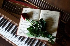 Đêm hòa nhạc của các nghệ sĩ Việt Nam, Đan Mạch