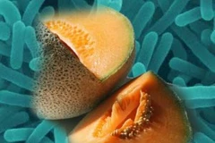 Mỹ: Số người chết do dưa vàng nhiễm khuẩn tăng