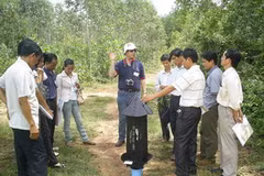 Tập huấn nâng cao năng suất rừng trồng ở Quảng Trị. (Ảnh: Hồ Cầu/TTXVN)
